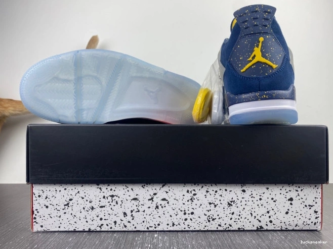 Reps LUCY Jordan Air Michigan Retro AJ4-1036660 4 (PE) 0810